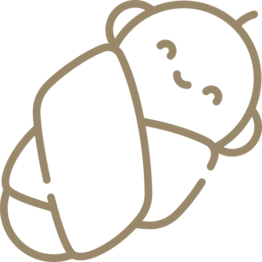 bebe